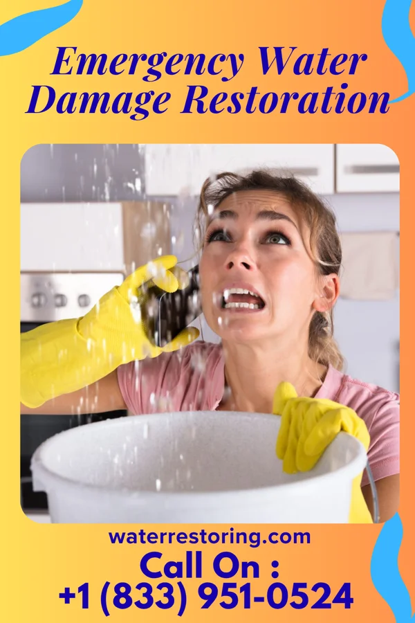 Emergency Water Damage Restoration in Bovill, ID